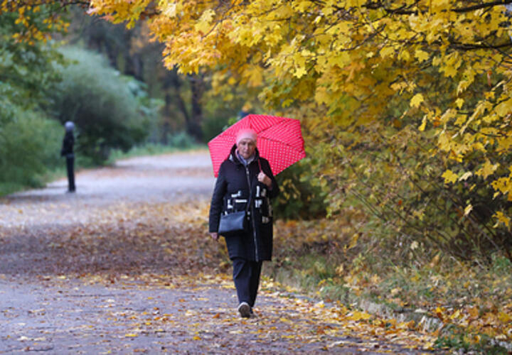 Прогноз синоптиков: какой будет погода с 13 по 19 ноября на Кубани