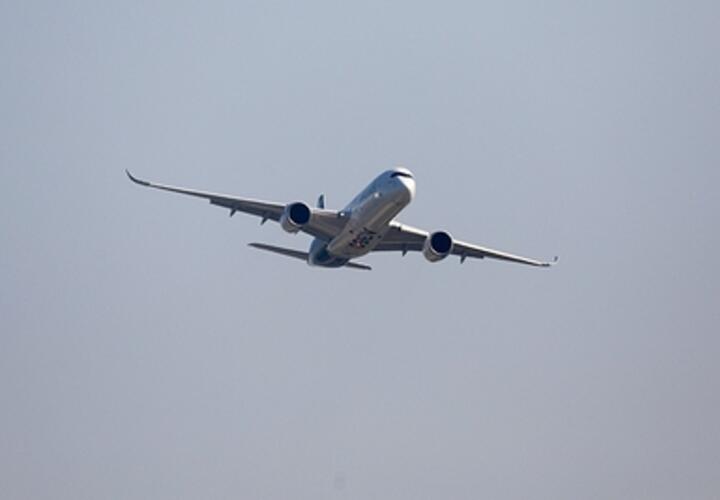 Разучились летать «на руках»: эксперты в ужасе от утери пилотами навыков ручного управления самолетами