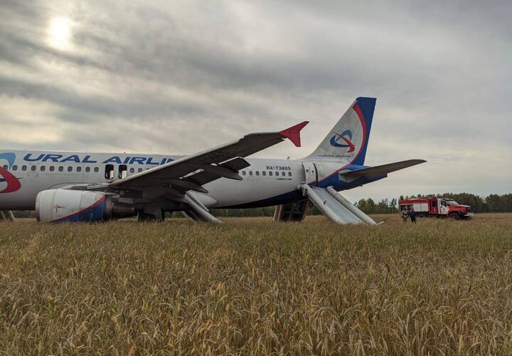 Росавиация резко раскритиковала расследование инцидента с посадкой на поле самолета Сочи-Омск
