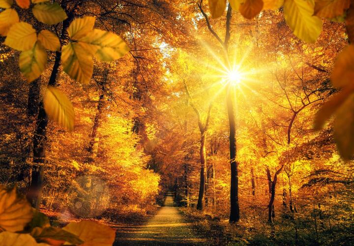 Сегодня на Кубани столбики термометров поднимутся почти до +30 градусов