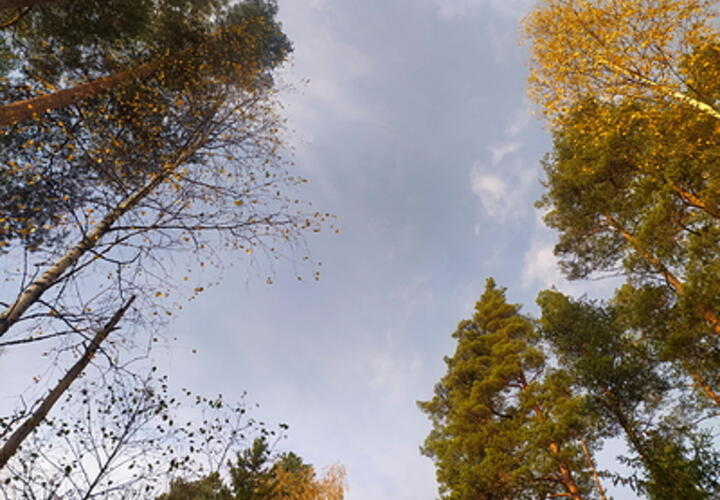 Сегодня в Краснодарском крае будет ветрено и прохладно