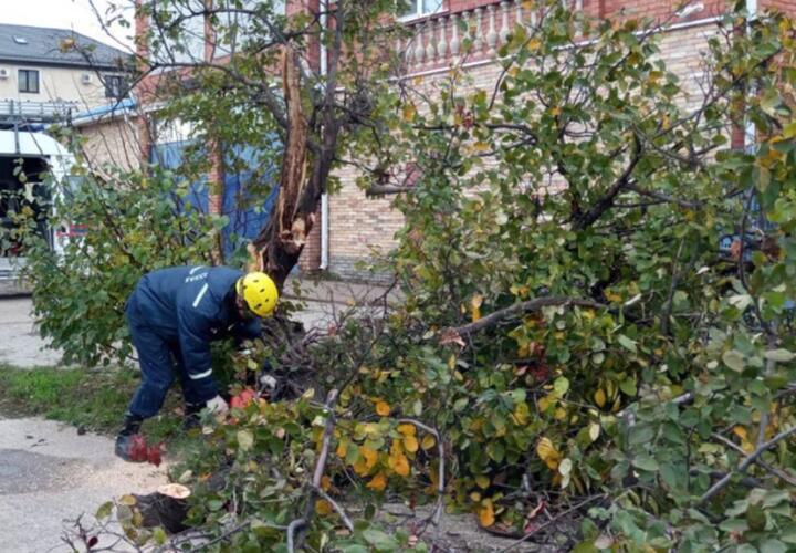 Более полусотни спасателей и два десятка автомобилей работают над расчисткой улиц в усиленном режиме
