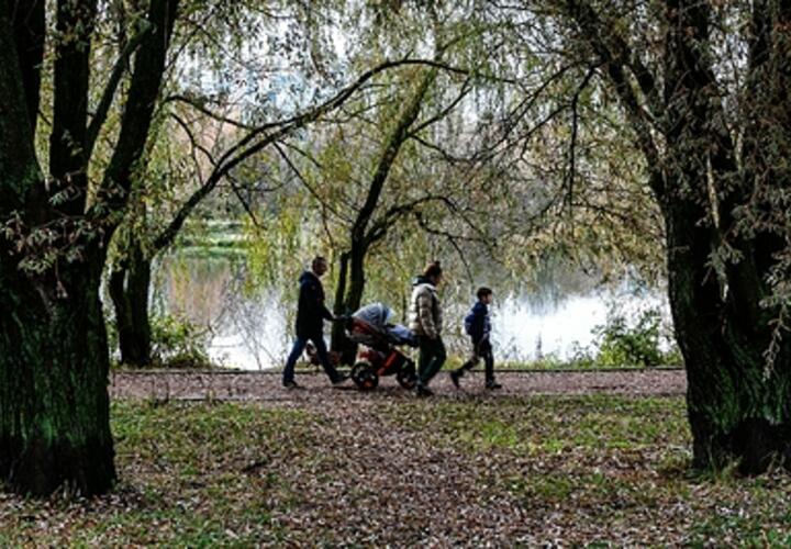 Синоптики рассказали, какой будет погода на Кубани 3 ноября