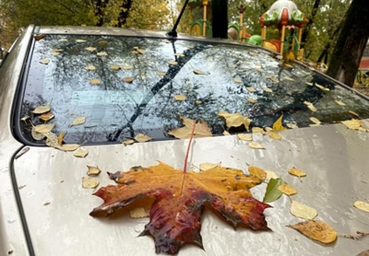 Синоптики рассказали, какой будет погода в Краснодарском крае 6 ноября 