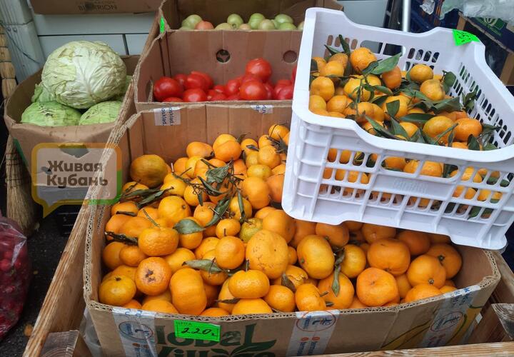 Сколько будут стоить мандарины к Новому году: в Краснодаре цитрусовые уже выросли в цене в два раза