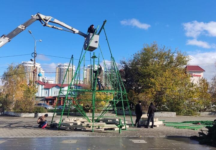 Стало известно, где в Краснодаре установят городские елки