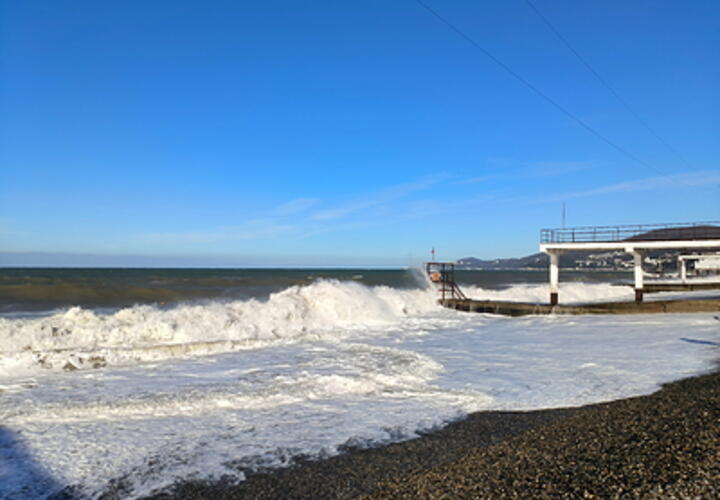 Стало известно, когда в Сочи подешевеет барабуля