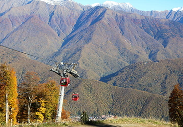 Строителей забанили: в Сочи застройщики испортили почву в нацпарке почти на 130 млн рублей