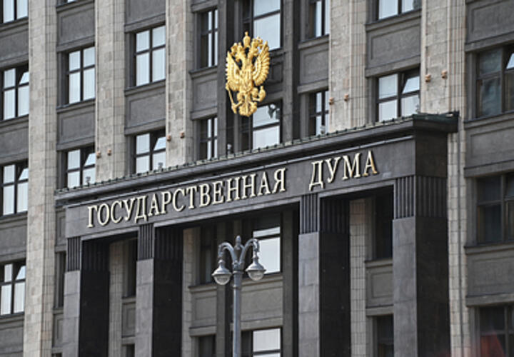 В Госдуме предложили создать приюты для  беременных