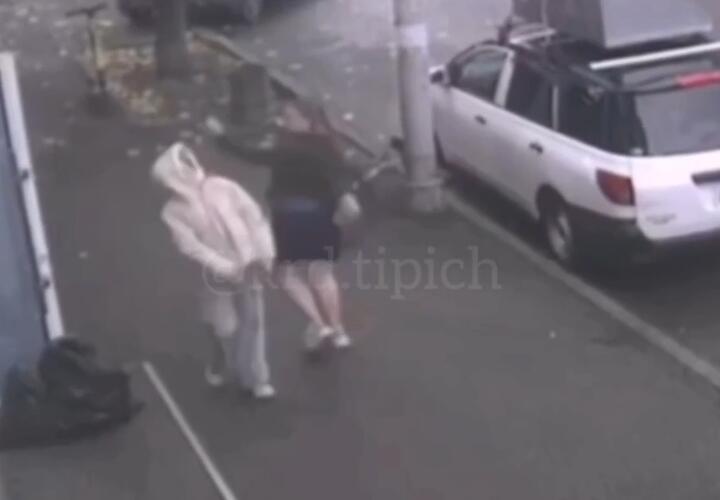 В Краснодаре женщина ударила школьницу, которая фотографировала деревья