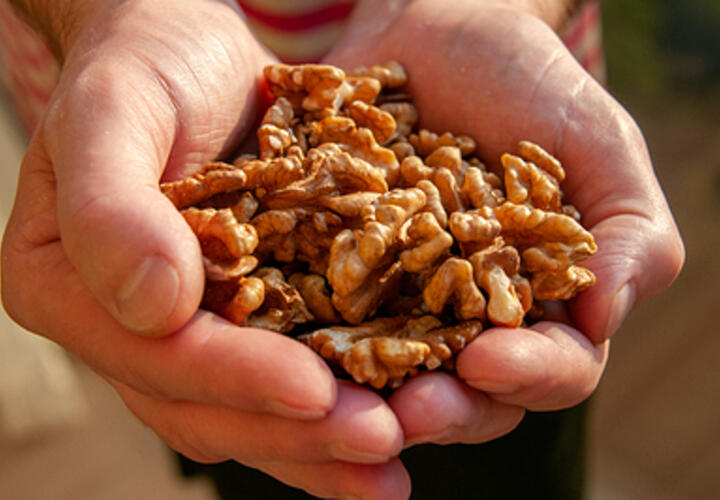 В Роспотребнадзоре научили определять нужную порцию продуктов без весов