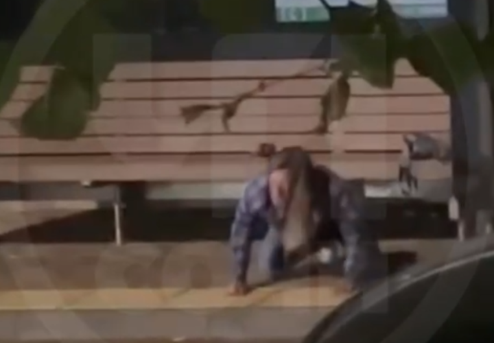 В Сочи неадекват, стоя на четвереньках, не подпускал людей к автобусной остановке