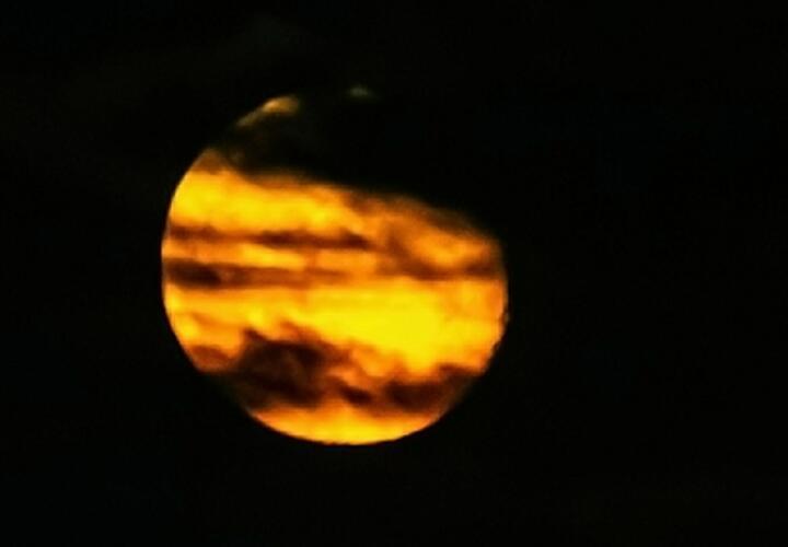 Весам звезды советуют поднять самооценку, а Скорпионов ожидает начало важного проекта 