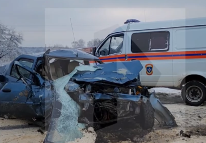 Шесть детей пострадали