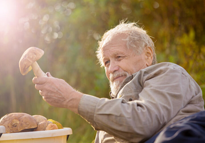 Житель Новороссийска накормил ядовитыми грибами своих родных и соседку