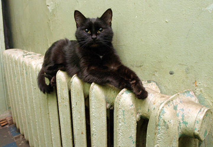 Жители Краснодара пожаловались на холодные батареи и отсутствие горячей воды