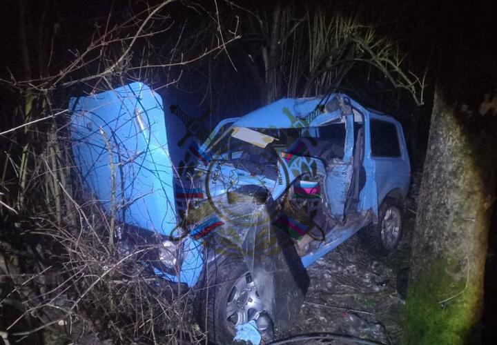 38-летний мужчина за рулем «Нивы» в Мостовском районе Кубани врезался в дерево и погиб
