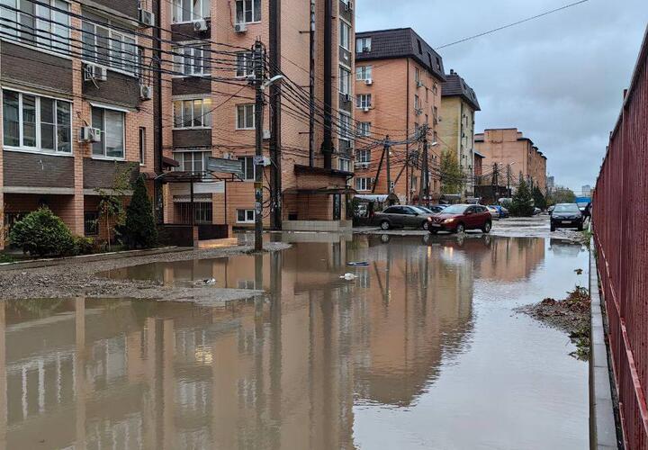 Бардак и беспредел: краснодарцы пожаловались Путину на местные власти