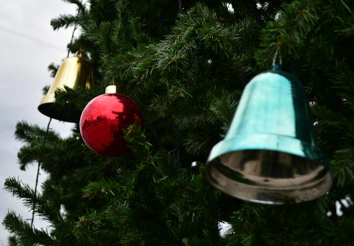 Что делать в праздники: стало известно, какие мероприятия в Краснодаре можно посетить в новогодние каникулы