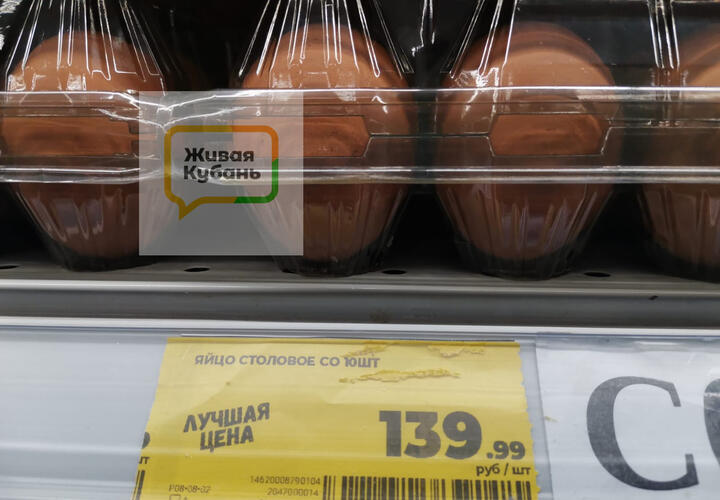 Когда подешевеют яйца, рассказали в Совете Федерации 