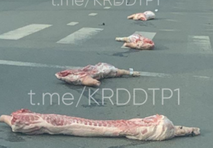 Мясными тушами оказалась усеяна Московская улица в Краснодаре