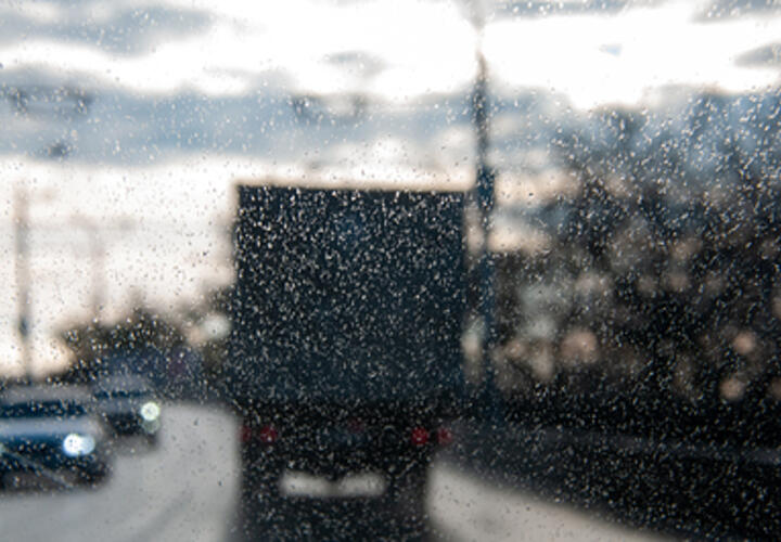 Не по-зимнему: синоптики рассказали о погоде в Краснодарском крае 22 декабря