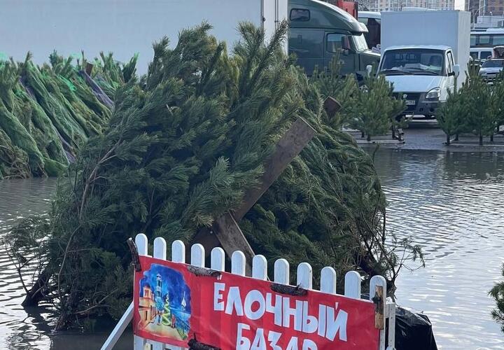 Новый год под угрозой: в Анапе после дождя грязной водой затопило елочный базар