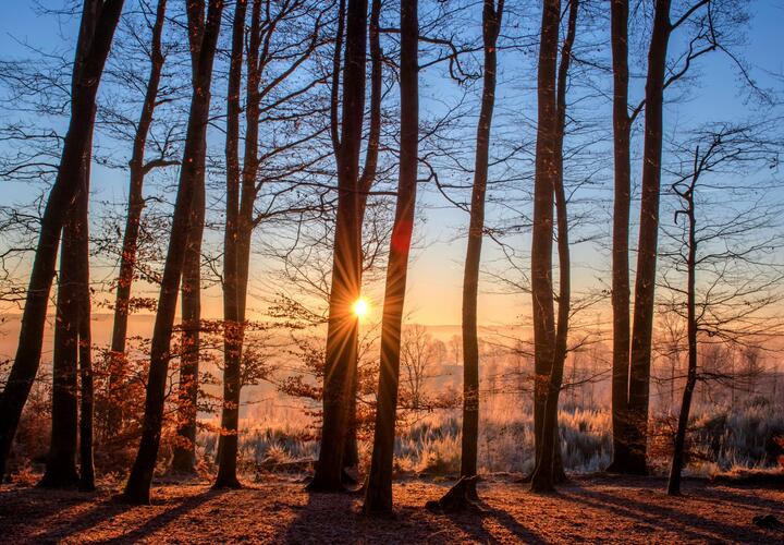 О погоде на 3 декабря в Краснодарском крае рассказали в Гидрометцентре