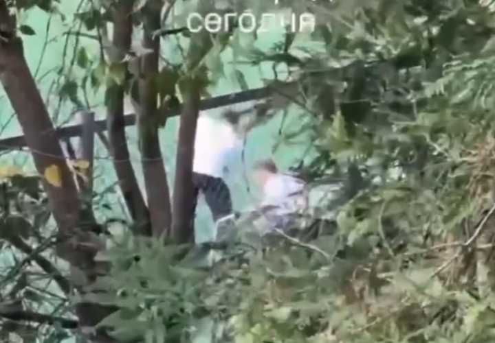 Отец на глазах у прохожих жестоко избил сына ремнем в Сочи