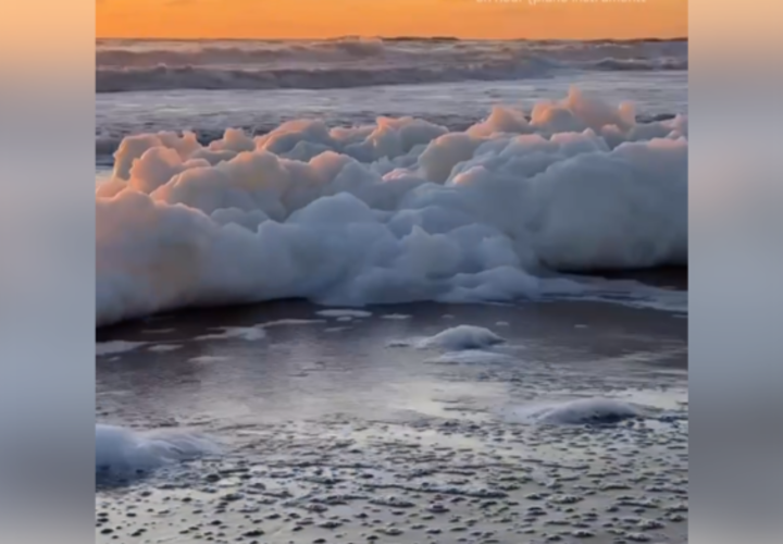 Море в Благовещенской прибило к берегам пену 