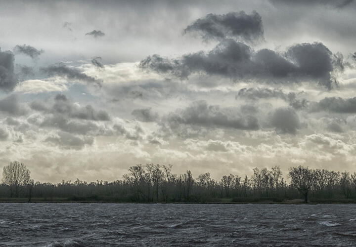 Прогноз синоптиков: какой будет погода с 1 по 7 января на Кубани