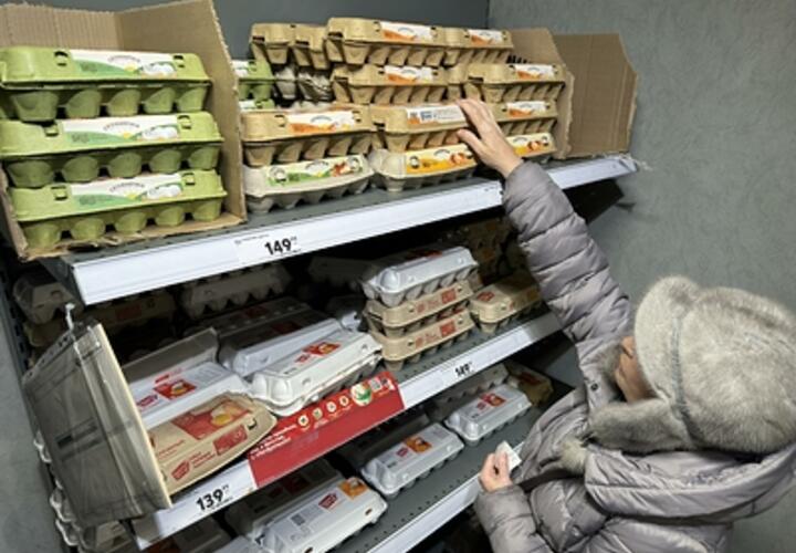 Прокуратура Кубани рассказала о причинах галопирующего роста цен на куриные яйца