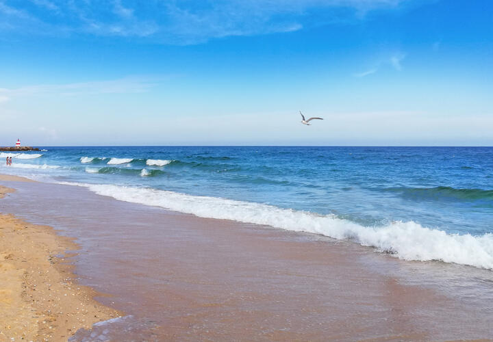 Разработка мастер-плана новой туристкой территории на Кубани начнется в следующем году