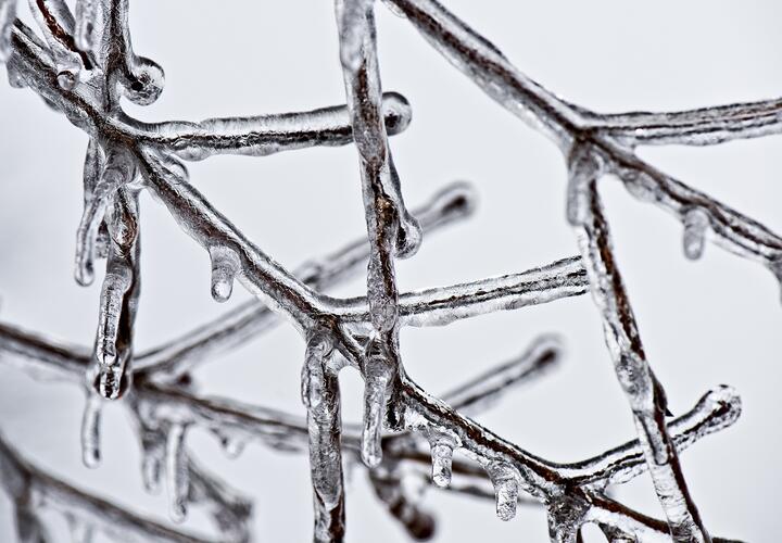 Синоптики предупредили жителей Кубани о сильных осадках и гололеде