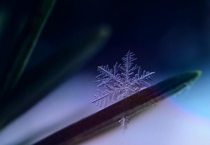 Синоптики рассказали, какой будет погода 5 декабря в Краснодарском крае