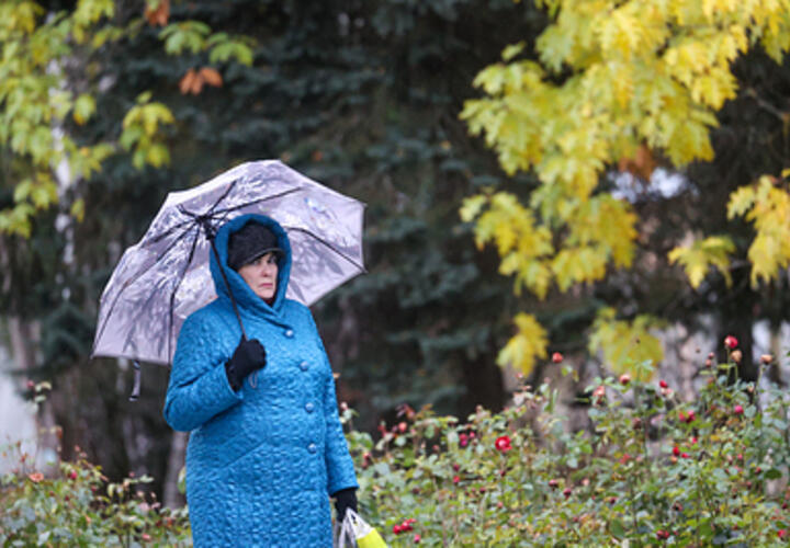 Синоптики рассказали, какой будет погода 8 декабря в Краснодарском крае