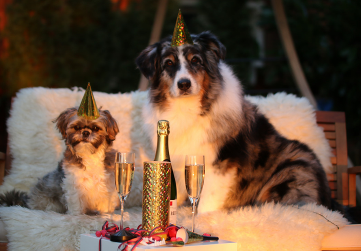 Краснодар оказался на 7-м месте по выделенному бюджету 