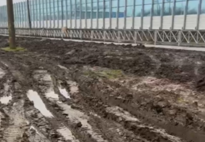 К тротуару невозможно подойти из-за грязи и луж