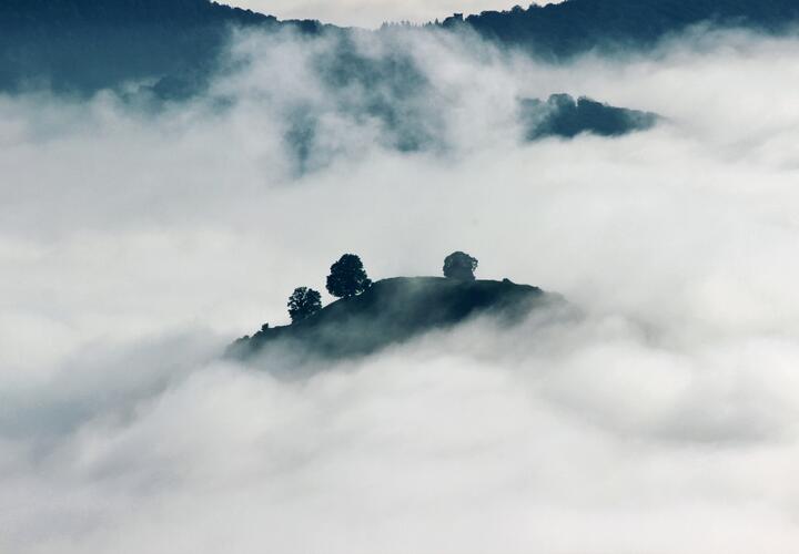 Тепло и туманно: о погоде на Кубани рассказали в Гидрометцентре