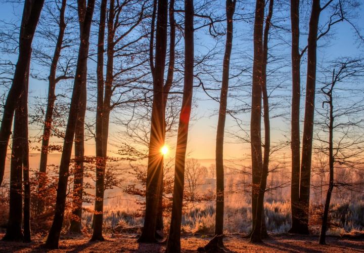 Патроны от автомата Калашникова хранил зачем-то 23-летний парень