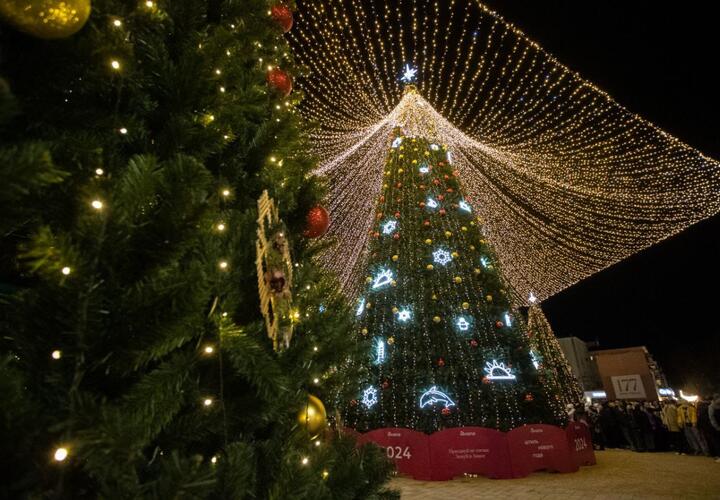 Елку из Анапы признали самой красивой на Кубани