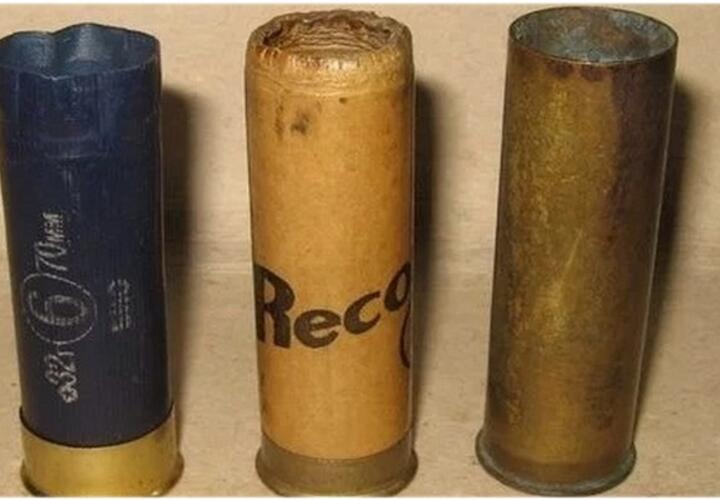 В соцсетях появилось видео, как школьница пронесла в брянскую гимназию ружье