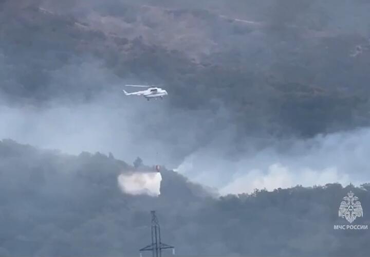Виновник летнего крупного лесного пожара в Геленджике предстанет перед судом