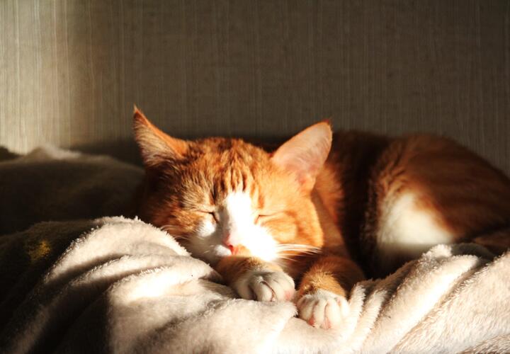 Всего пару часов не хватает кубанцам для счастья