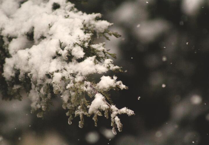 Жителей Краснодарского края ждет ухудшение погоды