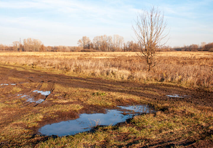 Агрокомплекс экс-губернатора Кубани Ткачева судится с властями Тимашевского района из-за права выкупа около 30 гектаров земли