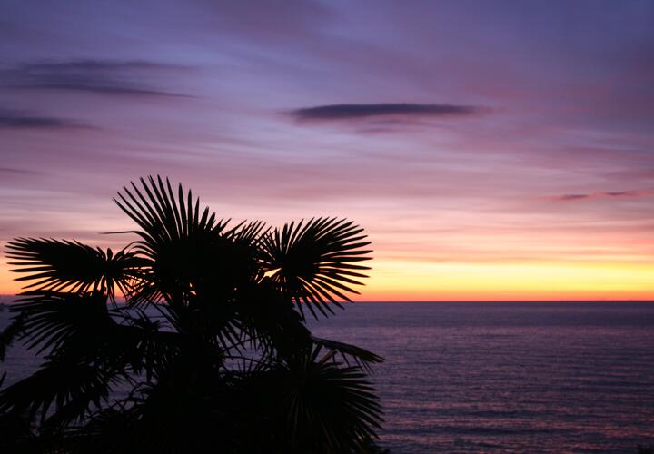 Путевка на 11 дней обошлась компании из пяти человек в более чем 2,5 миллиона рублей