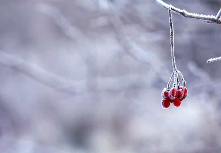 Гололед и сильный ветер прогнозируют синоптики на Кубани