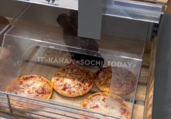 Крысы бегают: в Сети появилось видео с грызунами из кафе быстрого питания в Краснодаре