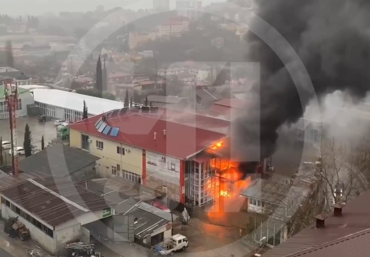 На чемпионате по прыжкам 25 спортсменов